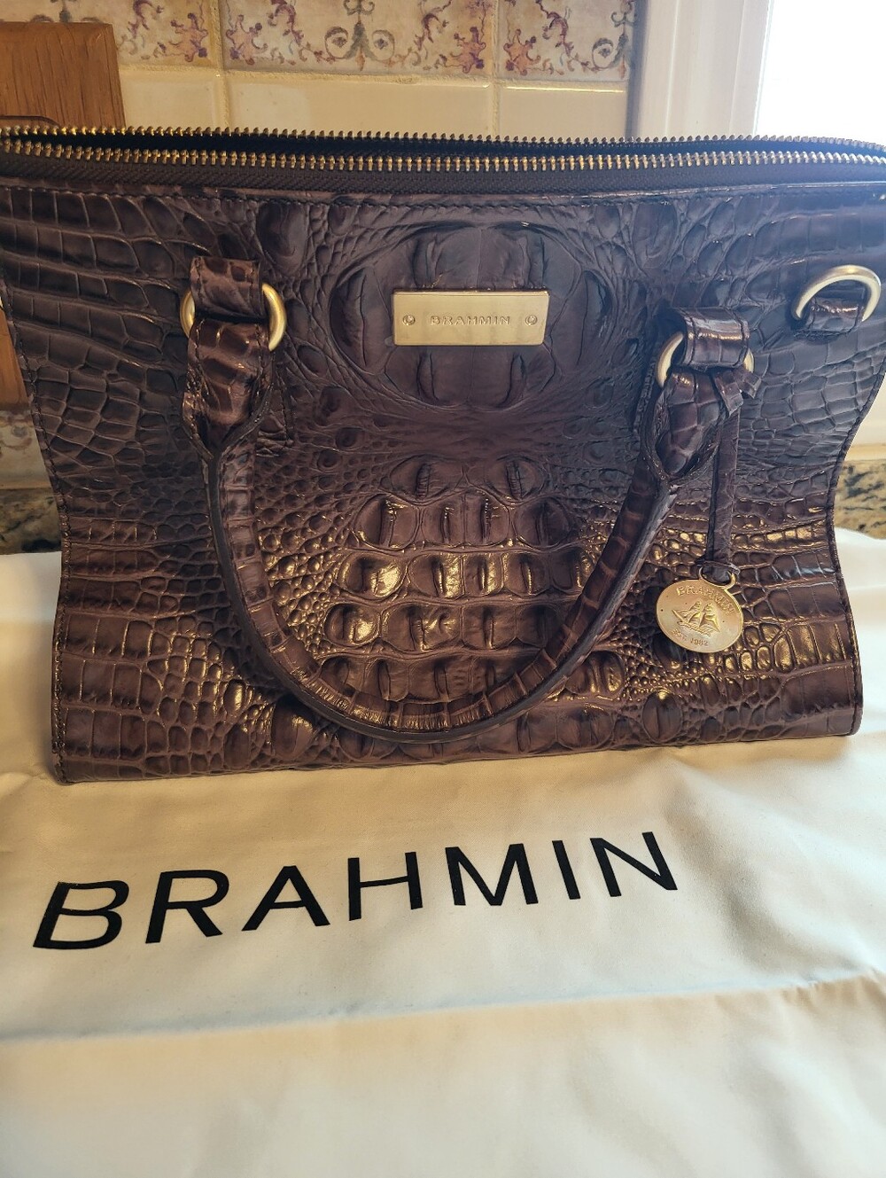 NWOT Brahmin 7.5 x 10.5 In. Croc Embrossed Brown With Metallic And Gold Hardware
